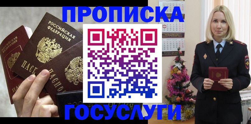 прописка в квартире в Щёлкино